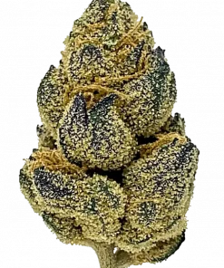 Zkittlez Cake, tatlı meyvemsi aroması ve yüksek THC içeriğiyle öne çıkan Indica dominant bir türdür. Etkilerini ve genetik yapısını keşfetmek için hemen görüntüleyin.