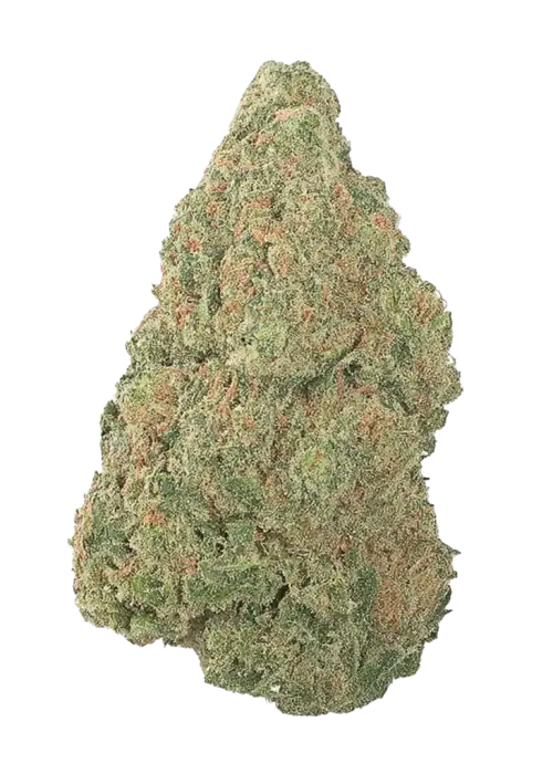 The Original Z (Zkittlez), tropikal meyve ve limon aromalarıyla öne çıkan Indica baskın bir türdür. Yüksek THC içeriğiyle rahatlatıcı etkilerini keşfedin ve hemen inceleyin.