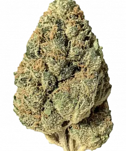 Z'Lato, meyvemsi aroması ve yüksek THC içeriğiyle öne çıkan dengeli bir hibrit türdür. Zkittlez ve Bacio Gelato genetiğini keşfedin ve etkilerini görüntüleyin.