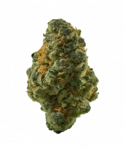 Zlue, yakıtımsı ve meyvemsi aromaları ile öne çıkan Indica dominant bir türdür. Yüksek THC içeriğiyle stresi azaltır ve uykuya yardımcı olur. Özelliklerini keşfedin.