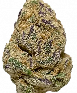 Zlushie, vanilya ve greyfurt aromalarıyla öne çıkan Indica baskın bir türdür. Yüksek THC içeriğiyle derin rahatlama sağlar. Etkilerini keşfedin.