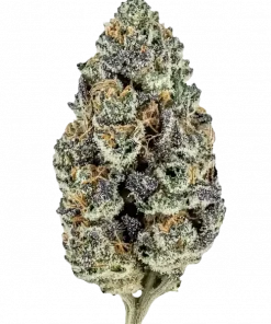 Zoap Rose, tatlı ve meyvemsi aromasıyla öne çıkan Indica dominant bir türdür. Yüksek THC içeriğiyle derin rahatlama sağlar. Etkilerini keşfedin.