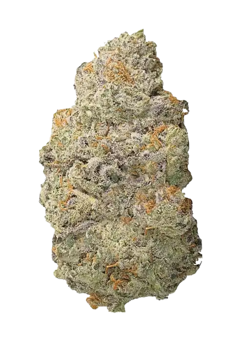 Zoap, keskin narenciye aroması ve 'ya varan THC içeriğiyle bilinen dengeli bir hibrit türdür. İştah ve ağrı tedavisindeki potansiyelini keşfedin. Hemen görüntüleyin.