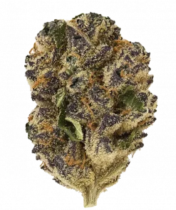 Zoda, yakıtımsı ve meyvemsi aromaları ile öne çıkan Indica baskın bir türdür. Yüksek THC içeriğiyle dikkat çeken bu türün genetik yapısını keşfedin.