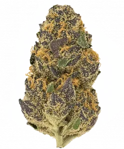 Zodashi, tatlı ve ekşi aromaları ile öne çıkan, yüksek THC'li Indica dominant bir türdür. Yaratıcılığı tetikleyen bu eşsiz türün genetik yapısını keşfedin.