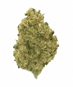 Zour Apple, sert dizel aroması ve THC içeriğiyle öne çıkan Indica baskın bir türdür. Yüksek THC'li bu hibrit türün genetik yapısını keşfedin.