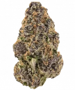 ZRilla, greyfurt aromaları ve rahatlatıcı etkisiyle bilinen Indica baskın bir türdür. Zkittlez ve Gorilla Glue #4 genetiğini keşfedin, detayları görüntüleyin.