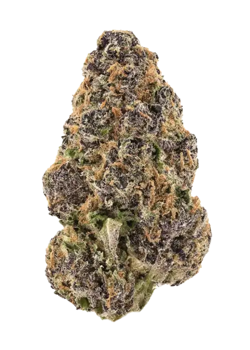 ZRilla, greyfurt aromaları ve rahatlatıcı etkisiyle bilinen Indica baskın bir türdür. Zkittlez ve Gorilla Glue #4 genetiğini keşfedin, detayları görüntüleyin.