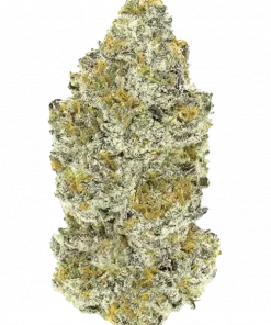 Ztraw’nana Runtz, tropikal meyve aromaları ve dengeli etkisiyle öne çıkan hibrit bir türdür. Stres ve anksiyeteye karşı potansiyel faydalarını keşfedin.