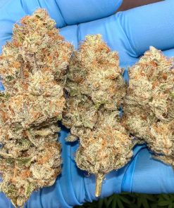 Ztrawberriez Auto Fem Esrar Tohumu (Fast Buds)