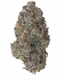 Ztrawberries, çilek aroması ve THC ile öne çıkan indica baskın bir türdür. Enerji veren yapısıyla bilinir. Genetik özelliklerini ve etkilerini keşfedin.