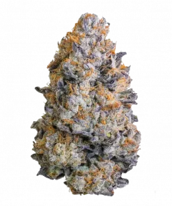 Zuava Band, tatlı narenciye aroması ve yüksek THC içeriğiyle öne çıkan Indica baskın bir türdür. Derin rahatlama ve yaratıcılığı keşfedin.