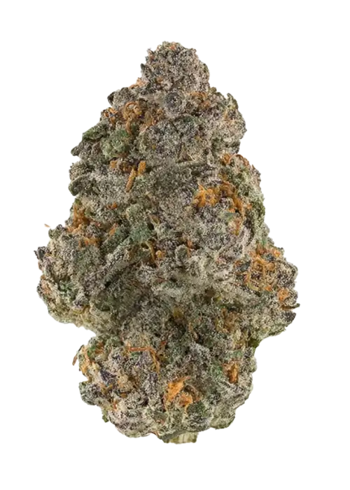 Zuckaz, çilekli shortcake aroması ve 'a varan THC içeriğiyle öne çıkan hibrit bir türdür. Enerji verici etkilerini keşfedin ve detaylı inceleyin.