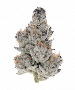 Zweet Chem, yakıtımsı lime aroması ve rahatlatıcı etkisiyle öne çıkan Indica baskın bir türdür. Yüksek THC içeriğiyle potansiyel faydalarını keşfedin ve detaylıca görüntüleyin.