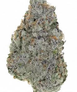 Zweet OG F1, şekerli ve narenciye aromalarıyla öne çıkan dengeli bir hibrit türdür. 'e varan THC içeriğiyle rahatlatıcı ve canlandırıcı etkilerini keşfedin.