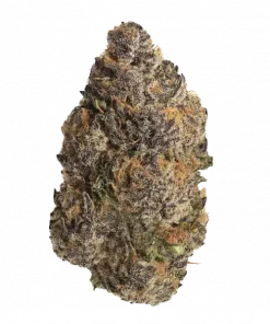 Zwoosh, tatlı meyve aromaları ve dengeli etkisiyle öne çıkan bir hibrit türdür. Hem rahatlama hem de enerji sunar. Genetik yapısını keşfedin.