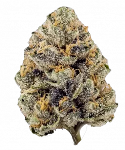 ZZ4, sert yakıt aroması ve THC ile öne çıkan güçlü bir hibrit türdür. Mutluluk ve rahatlama sunan bu türün genetik yapısını keşfedin.