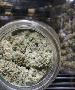 Banana Frosting Feminized Esrar Tohumu (Sensi Seeds)