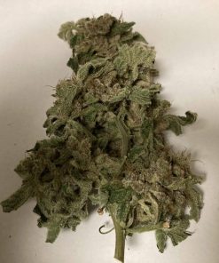 Black Cherry Punch Feminized Esrar Tohumu (Pyramid Seeds)