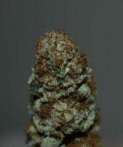 Blackberry Moonrocks Feminized Esrar Tohumu (Anesia Seeds)