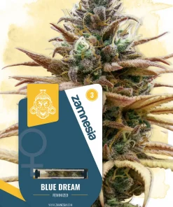 Blue Dream Feminized Esrar Tohumu (Zamnesia Seeds)