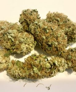 Bubble Gum Feminized Esrar Tohumu (00seeds)