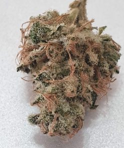 Bubblegum Feminized Esrar Tohumu (T.H.Seeds)