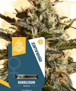 Bubblegum Feminized Esrar Tohumu (Zamnesia Seeds)