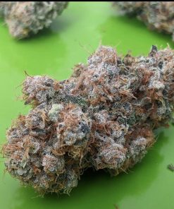 Cataract Kush Feminized Esrar Tohumu (DNA Genetics)