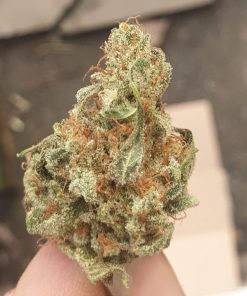 Cotton Candy Feminized Esrar Tohumu (Delicious Seeds)