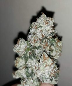 Do-G Feminized Esrar Tohumu (Ripper Seeds)