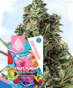 Fruit Punch Feminized Esrar Tohumu (Zamnesia Seeds)
