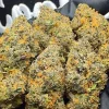 Gelato #33 Feminized Esrar Tohumu (Cookies Seed Bank)