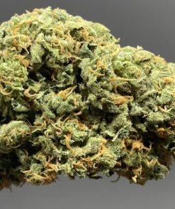 Girls Scout Cookies Feminized Esrar Tohumu (The Cali Connection)