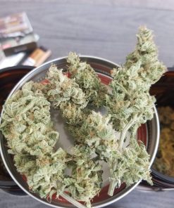 Hawaii Maui Waui Regular Esrar Tohumu (Nirvana)