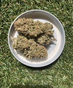 Inzane In The Membrane Feminized Esrar Tohumu (ETHOS Genetics)