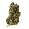 Kosher Tangie Kush Feminized Esrar Tohumu (Amsterdam Genetics)