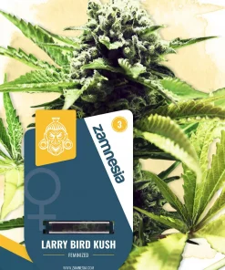 Larry Bird Kush Feminized Esrar Tohumu (Zamnesia Seeds)