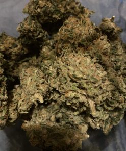 Lemon Kush Feminized Esrar Tohumu (Zambeza)