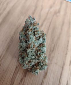 Mandarin Zkittlez Feminized Esrar Tohumu (ETHOS Genetics)