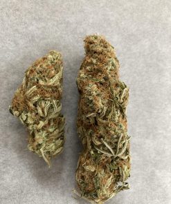 N13 Kush Feminized Esrar Tohumu (Sensi Seeds)