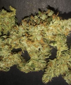 Northern Lights Auto Fem Esrar Tohumu (BulkSeedBank)