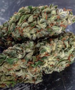 Northern Lights Auto Fem Esrar Tohumu (Pyramid Seeds)