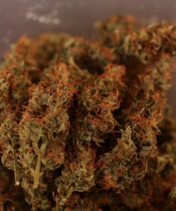 Northern Lights Auto Fem Esrar Tohumu (White Label)