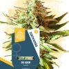 OG Kush Feminized Esrar Tohumu (Zamnesia Seeds)