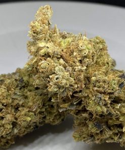 Orange Kush Cake Feminized Esrar Tohumu (ETHOS Genetics)