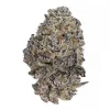 Original Oreoz Feminized Esrar Tohumu (Growers Choice)