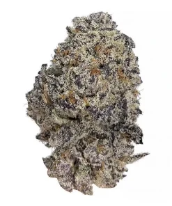 Original Oreoz Feminized Esrar Tohumu (Growers Choice)