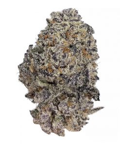 Original Oreoz Feminized Esrar Tohumu (Growers Choice)