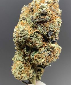 Original Sour Diesel Feminized Esrar Tohumu (The Cali Connection)